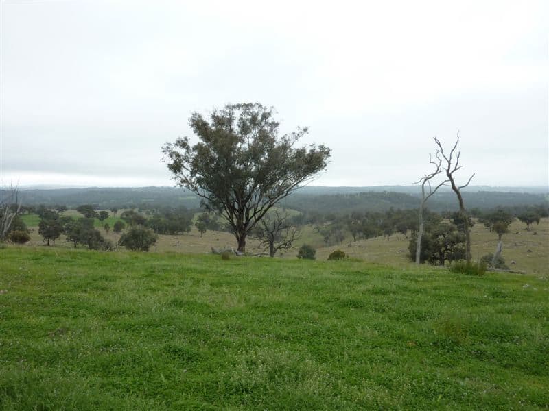 Dunoon/4075 Boorolong Road, Armidale, NSW 2350, Armidale - Thumbnail 8