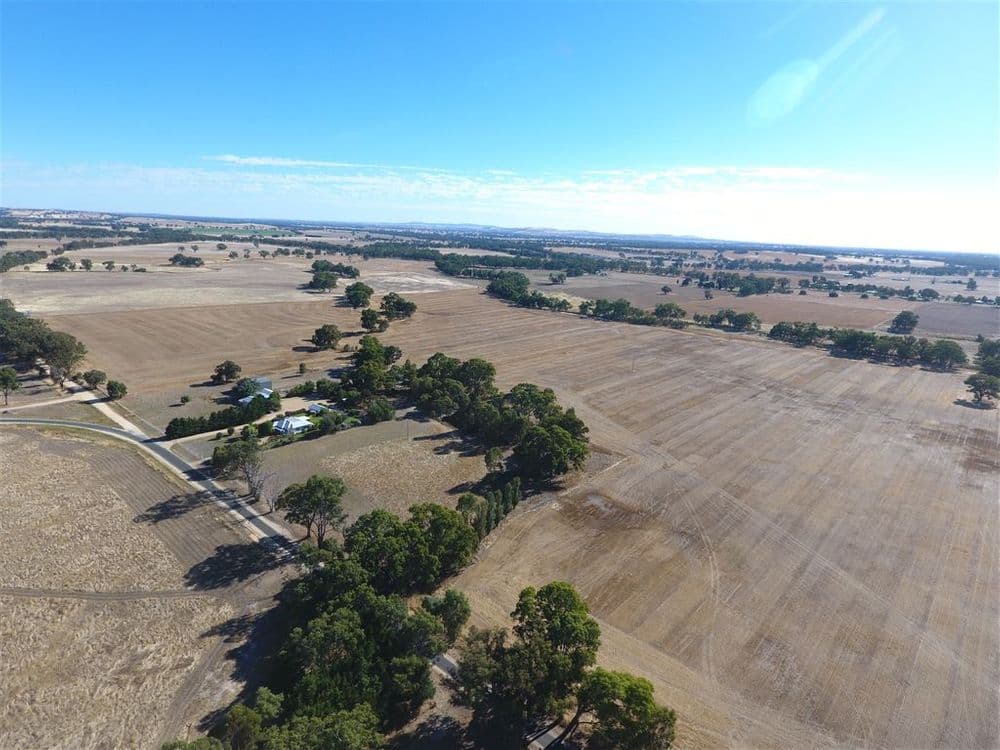 240 Vinoca Road, Avoca, VIC 3467, Avoca - Thumbnail 6