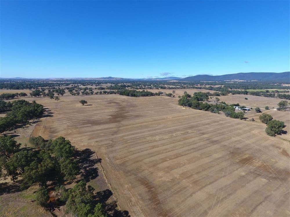 240 Vinoca Road, Avoca, VIC 3467, Avoca - Thumbnail 7