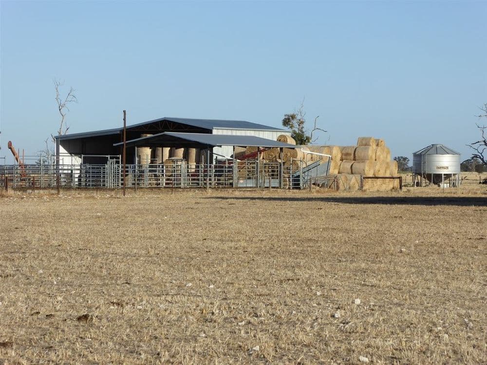 . Martins Camp Road, Keith, SA 5267, Keith - Thumbnail 2