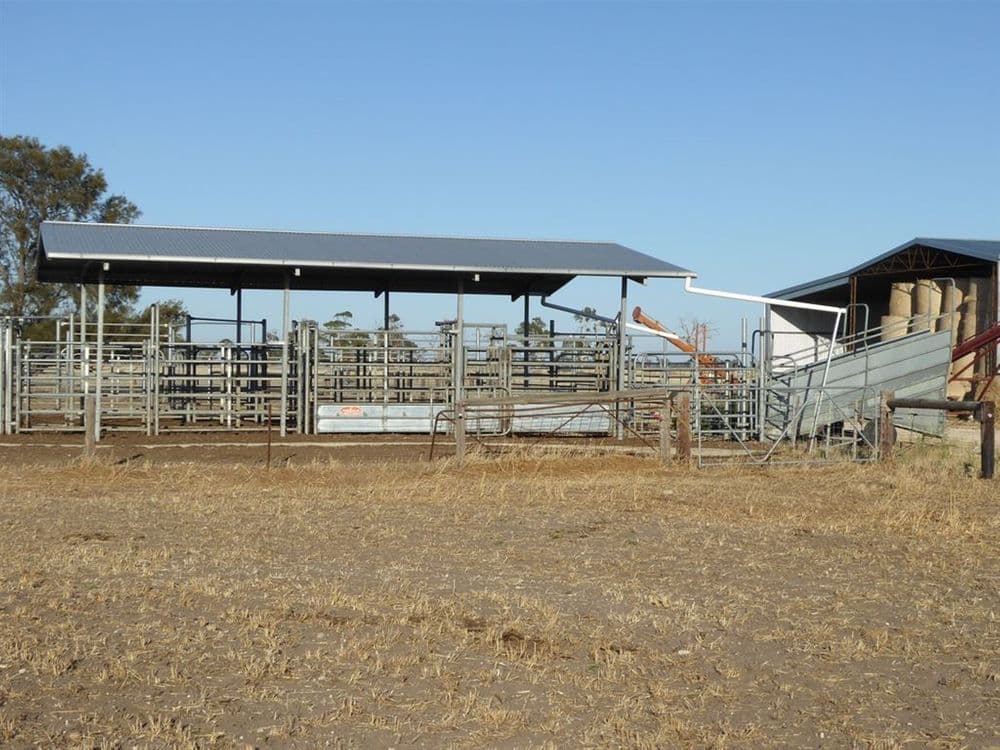 . Martins Camp Road, Keith, SA 5267, Keith - Thumbnail 3