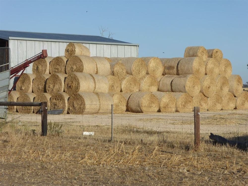 . Martins Camp Road, Keith, SA 5267, Keith - Thumbnail 4
