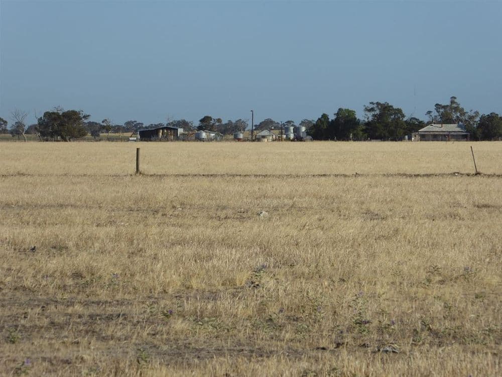 . Martins Camp Road, Keith, SA 5267, Keith - Thumbnail 8
