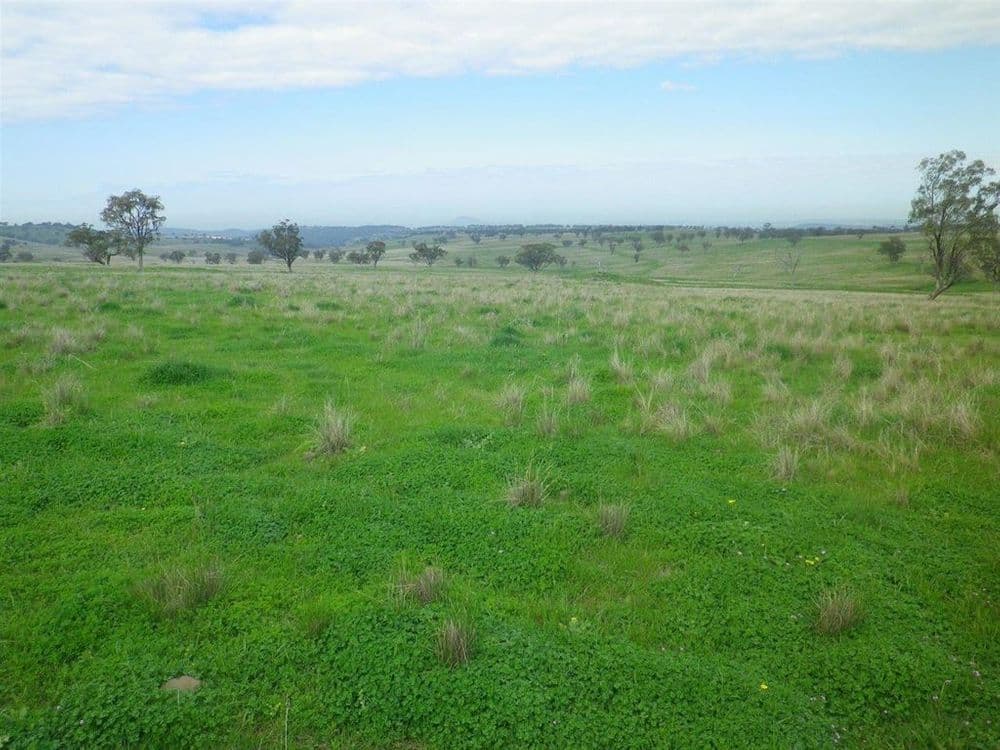 . "White Rock" Ridgelands Rd, Bunnan via, Scone, NSW 2337, Bunnan Via - Image 1