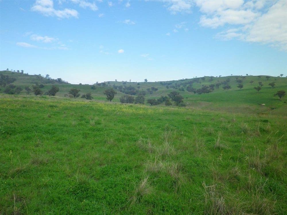 . "White Rock" Ridgelands Rd, Bunnan via, Scone, NSW 2337, Bunnan Via - Thumbnail 8
