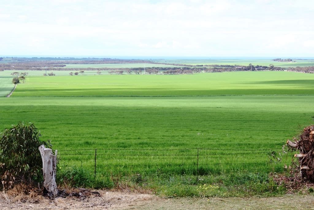 200 Germein road, Curramulka, SA 5580, Curramulka - Thumbnail 3