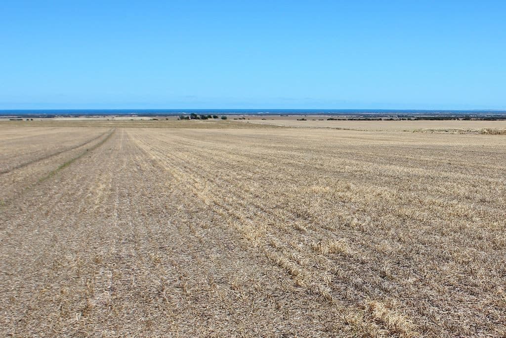 1030 Mt Rat Wells road, Wauraltee, SA 5573, Wauraltee - Thumbnail 3