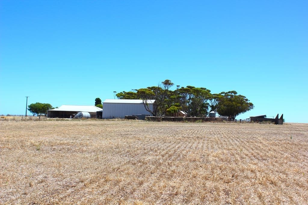 1030 Mt Rat Wells road, Wauraltee, SA 5573, Wauraltee - Thumbnail 4