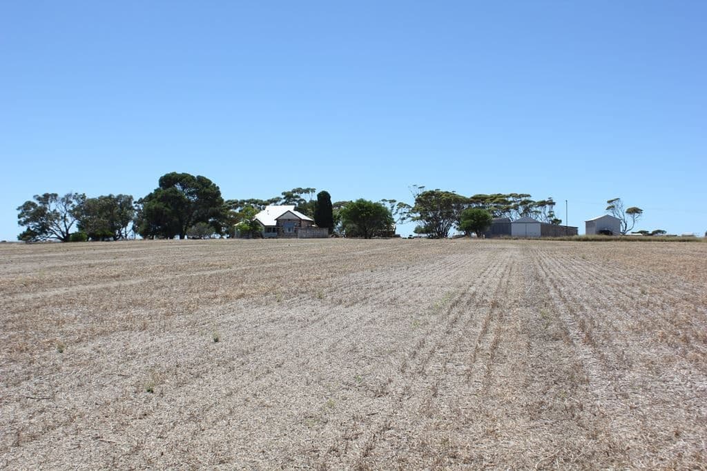 1030 Mt Rat Wells road, Wauraltee, SA 5573, Wauraltee - Thumbnail 5