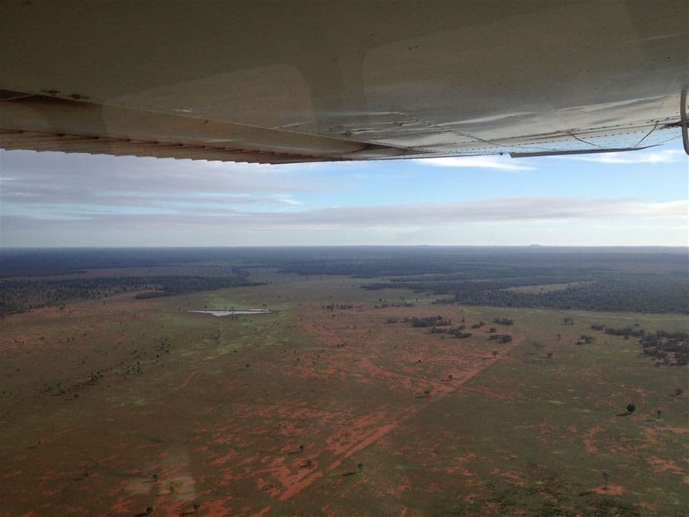 * Koree, Cobar, NSW 2835, Cobar - Thumbnail 2