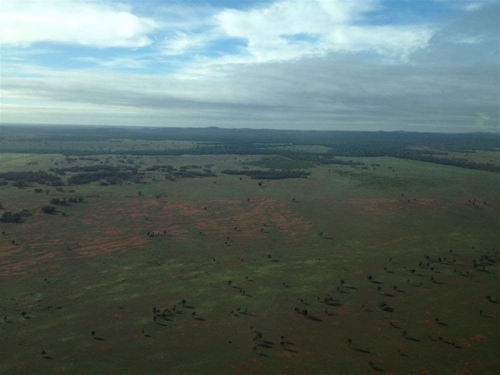 * Koree, Cobar, NSW 2835, Cobar - Thumbnail 3