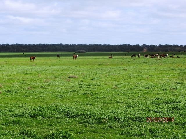 * Koree, Cobar, NSW 2835, Cobar - Thumbnail 5
