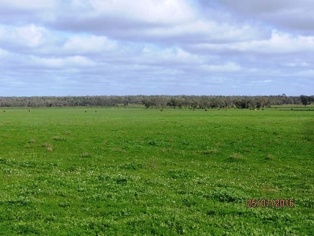 * Koree, Cobar, NSW 2835, Cobar - Thumbnail 6