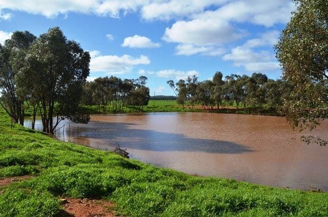 * Koree, Cobar, NSW 2835, Cobar - Thumbnail 7