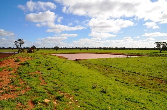 * Koree, Cobar, NSW 2835, Cobar - Thumbnail 8
