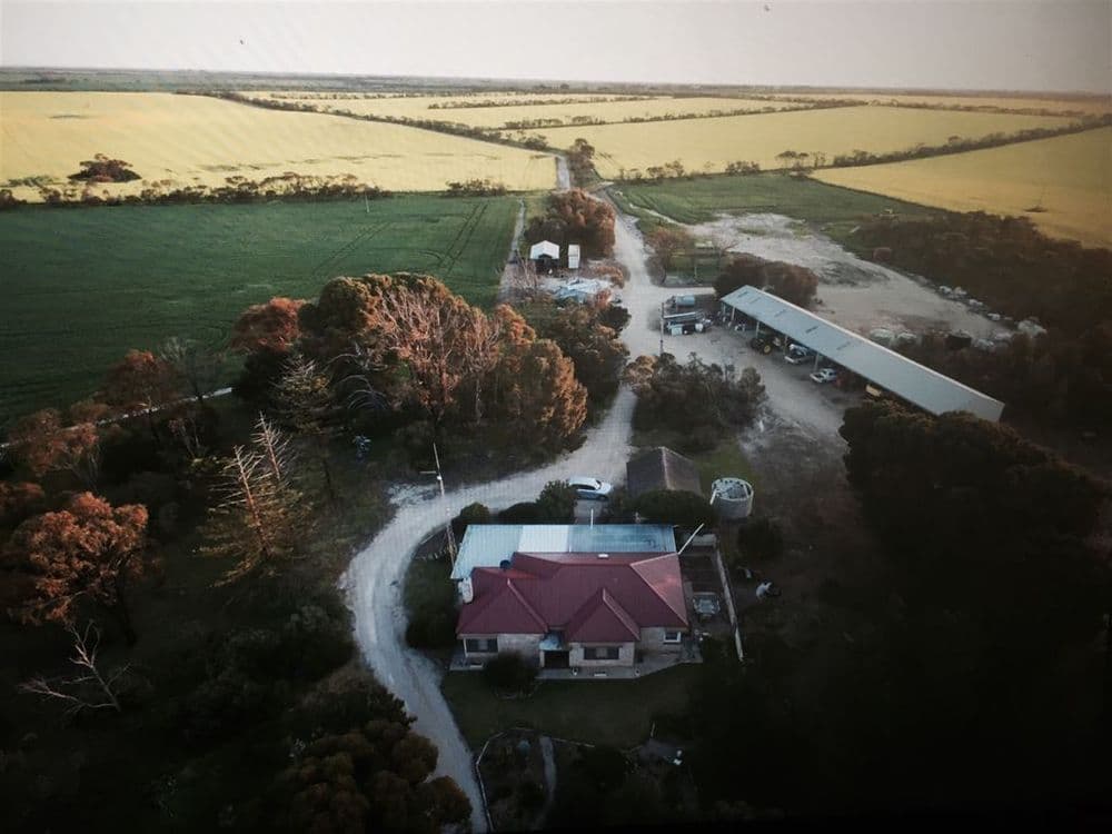 1372 Minlaton road, Ramsay, SA 5575, Ramsay - Thumbnail 3