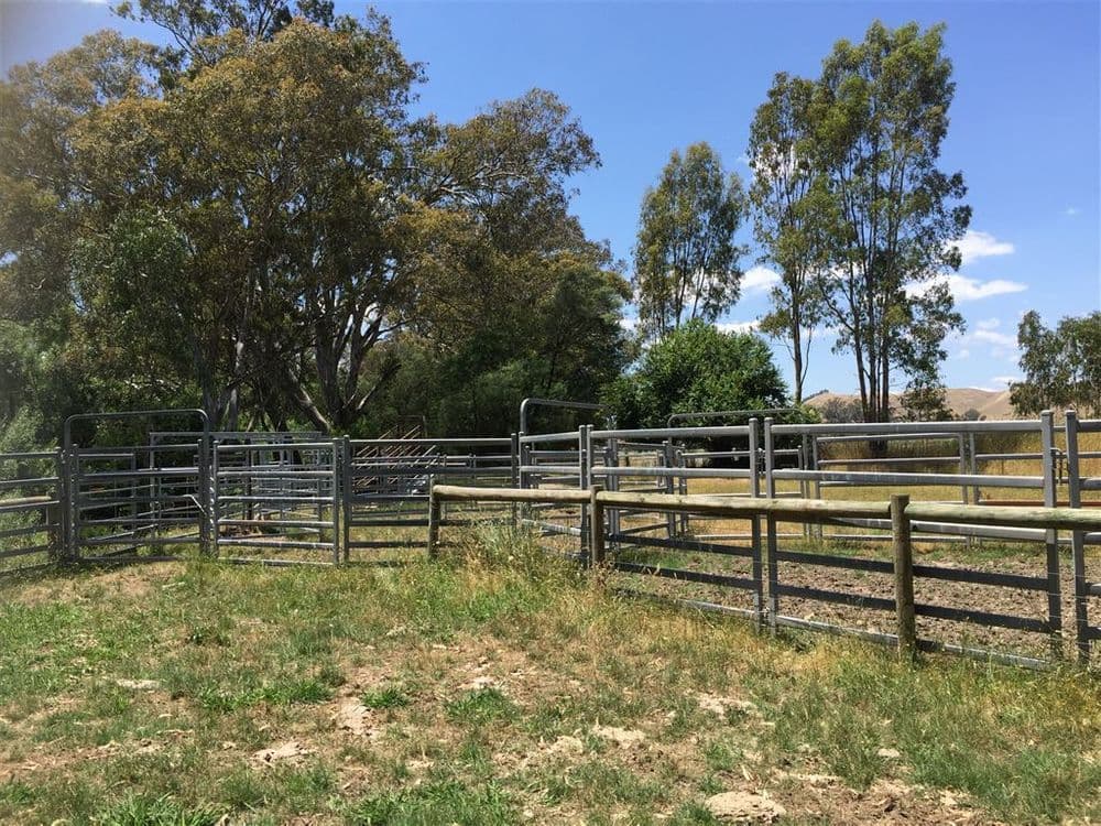 440 Whanregarwen Road,, Molesworth, VIC 3718, Molesworth - Thumbnail 3