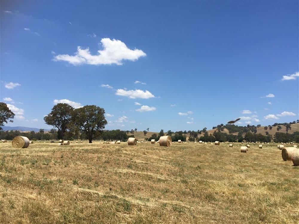 440 Whanregarwen Road,, Molesworth, VIC 3718, Molesworth - Thumbnail 4