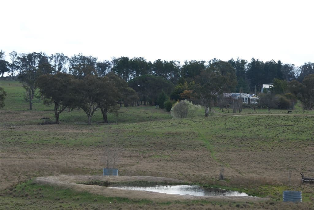 Walcha NSW, Walcha - Image 1