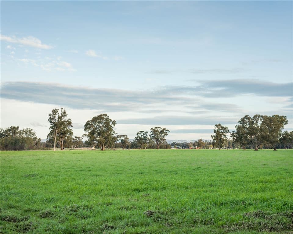 000 "Mogolimby Estate", Euroa, VIC 3666, Euroa - Thumbnail 5