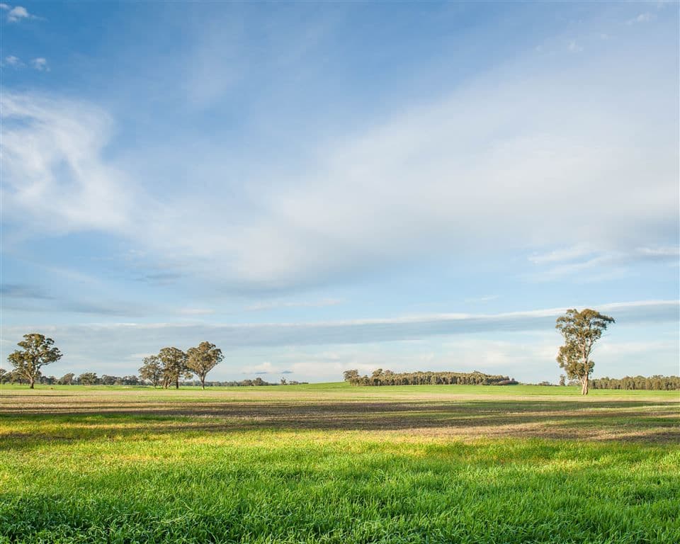 000 "Mogolimby Estate", Euroa, VIC 3666, Euroa - Thumbnail 6