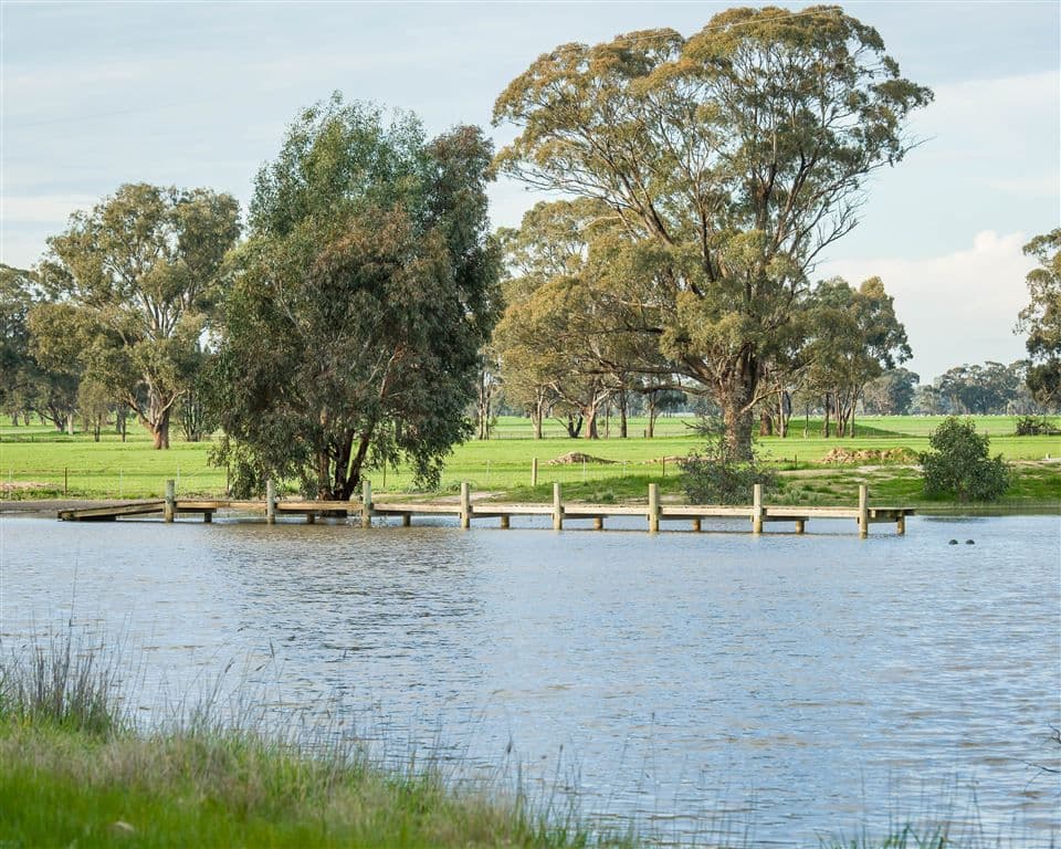000 "Mogolimby Estate", Euroa, VIC 3666, Euroa - Thumbnail 7