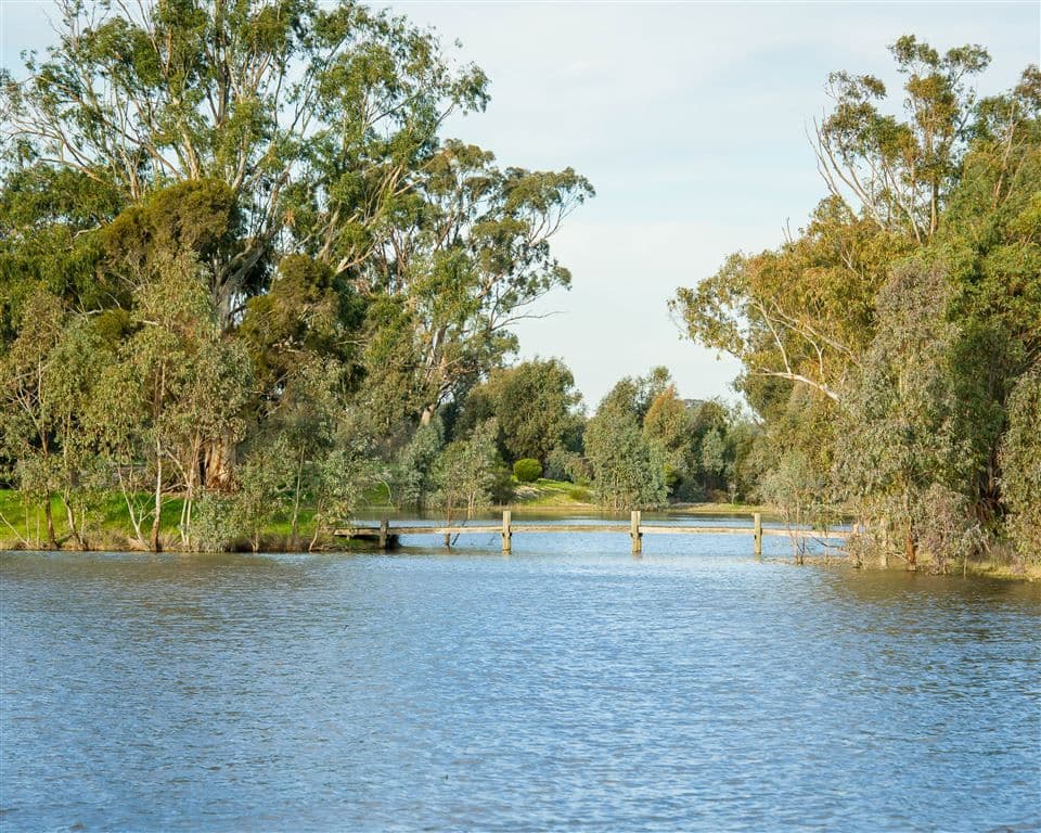 000 "Mogolimby Estate", Euroa, VIC 3666, Euroa - Thumbnail 8