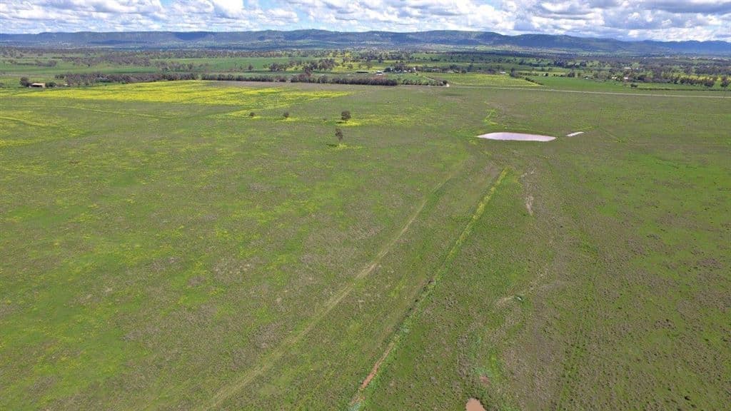 . New England Hwy & Gundy Rd, "St Aubins Estates", Scone, NSW 2337, "St Aubins Estates" - Thumbnail 6