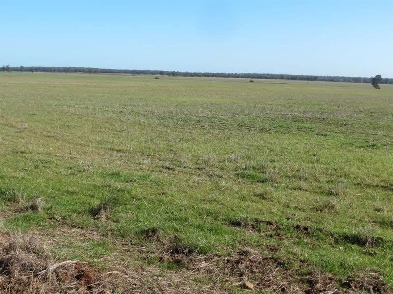 Lot 2 183 Boltes Lane, West Wyalong, NSW 2671, West Wyalong - Image 1