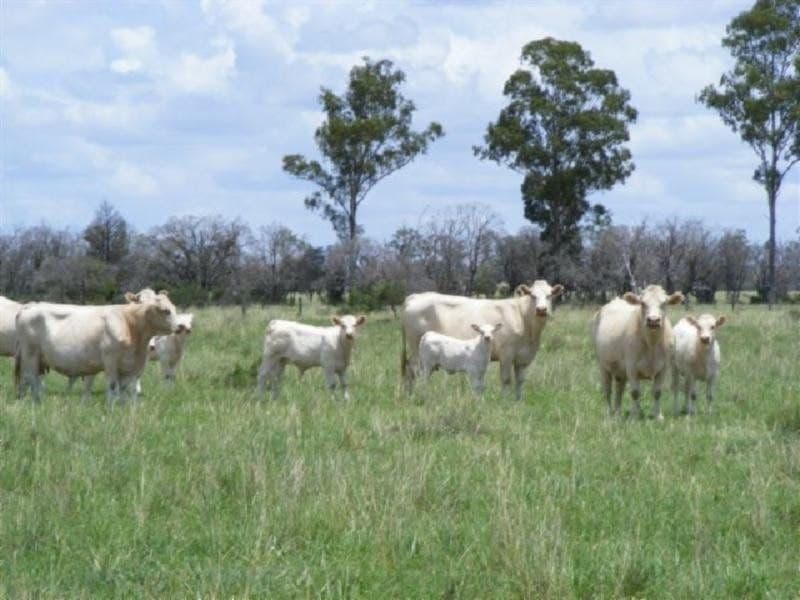 1337 Burncluth Hall Road, Burncluith, QLD 4413, Burncluith - Image 1