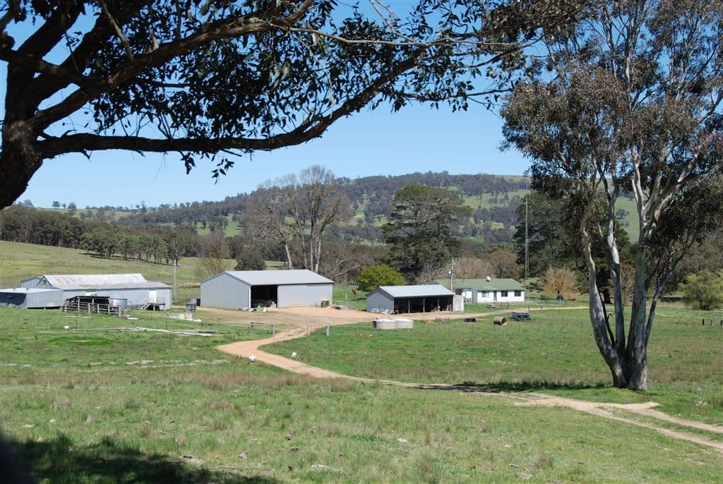 Walcha NSW, Walcha - Image 1