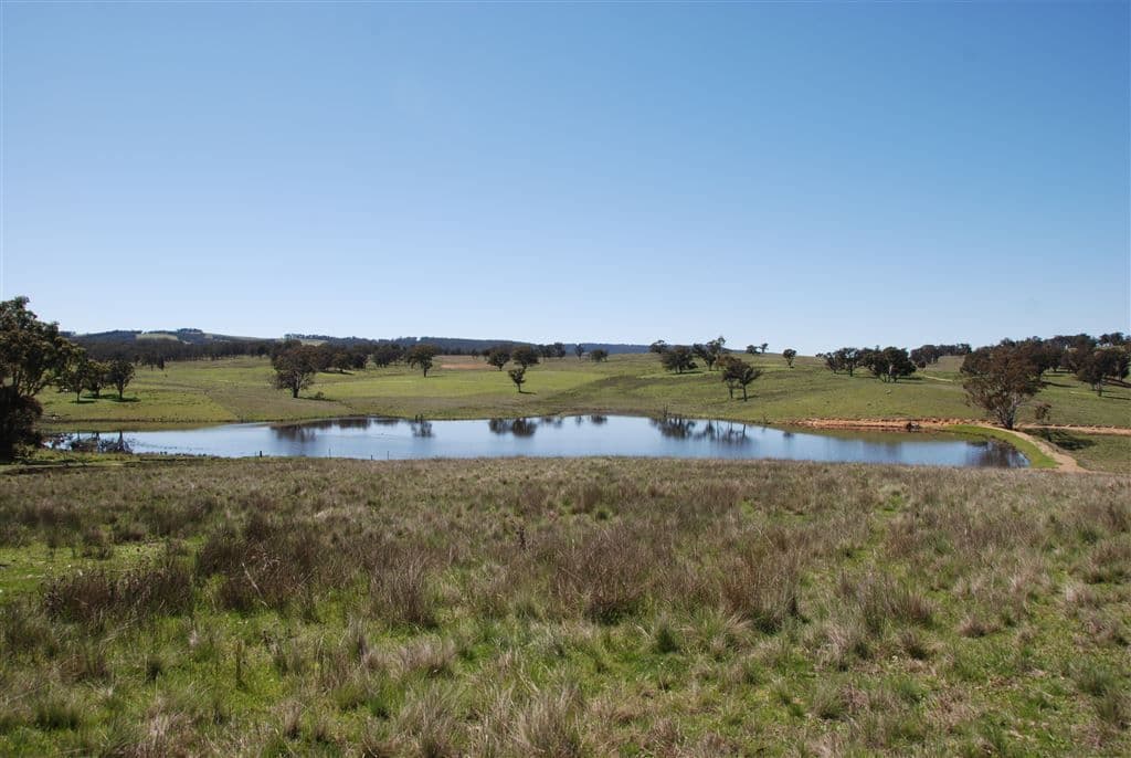 Walcha NSW, Walcha - Thumbnail 2