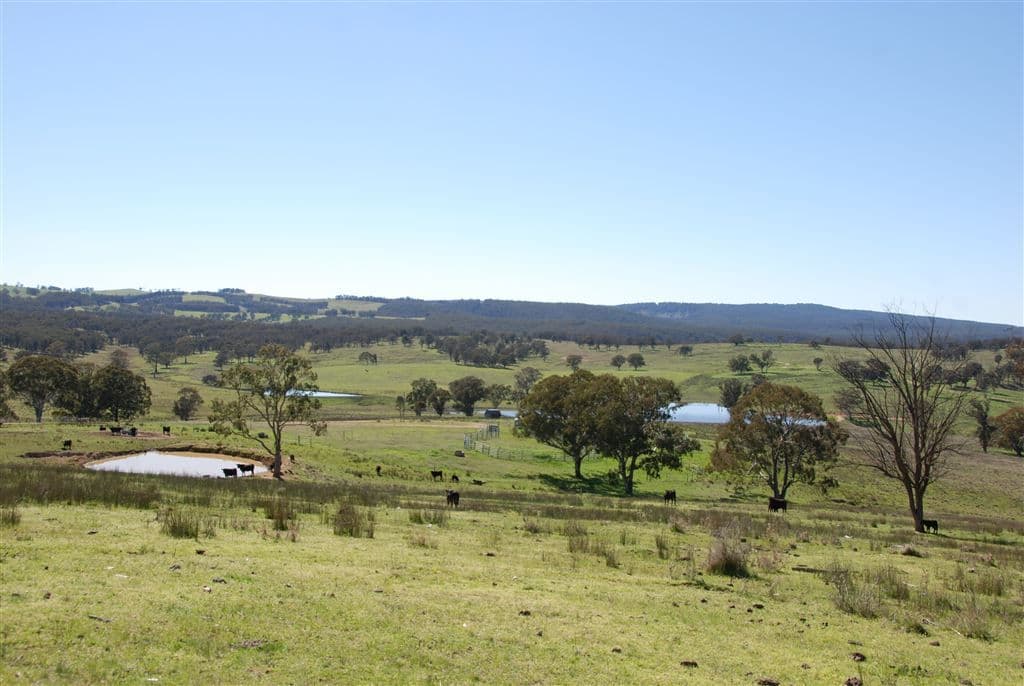 Walcha NSW, Walcha - Thumbnail 3