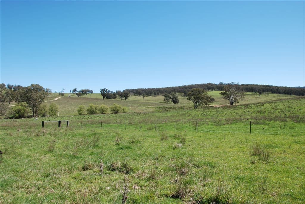 Walcha NSW, Walcha - Thumbnail 4