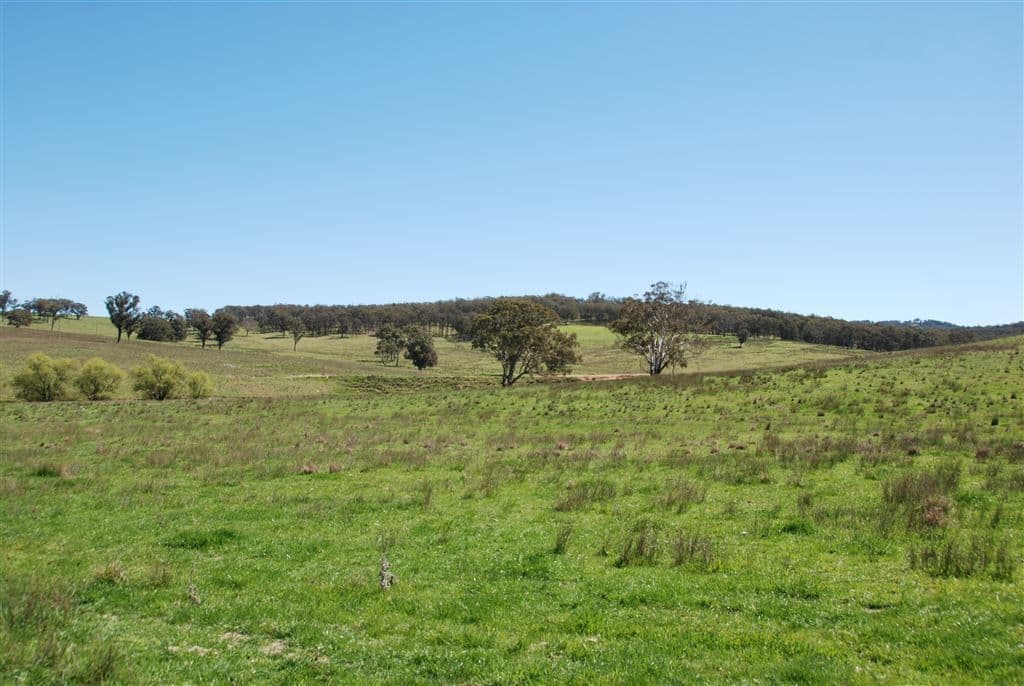 Walcha NSW, Walcha - Thumbnail 5