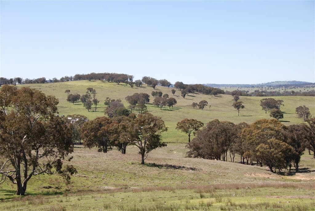 Walcha NSW, Walcha - Thumbnail 6