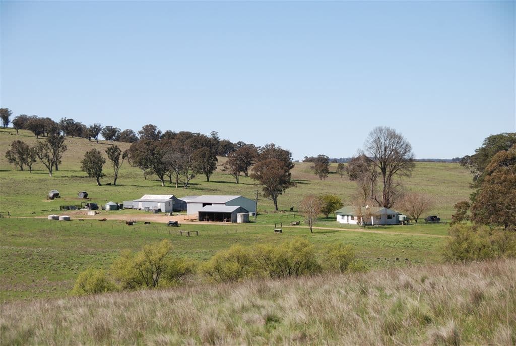 Walcha NSW, Walcha - Thumbnail 7
