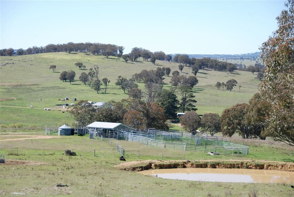 Walcha NSW, Walcha - Thumbnail 8