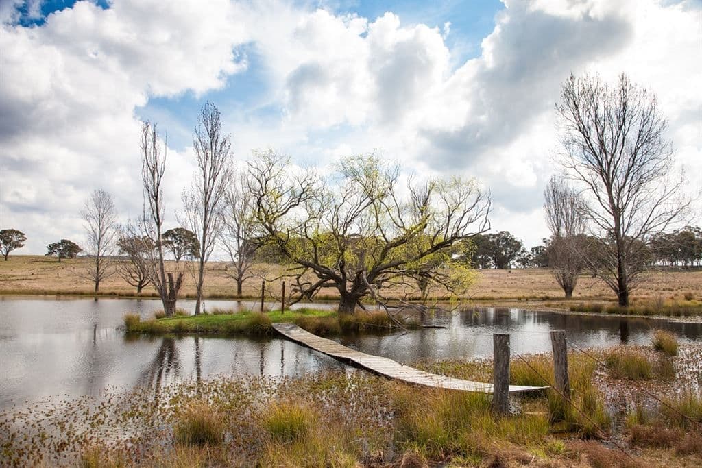 1570 Collector Road, Goulburn, NSW 2580, Goulburn - Image 1