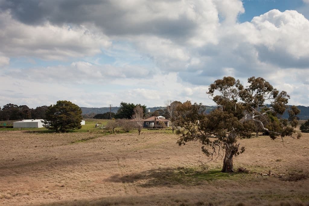 1570 Collector Road, Goulburn, NSW 2580, Goulburn - Thumbnail 5