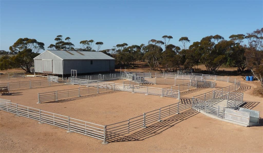 1580 Carina North Road, Murrayville, VIC 3512, Murrayville - Thumbnail 4