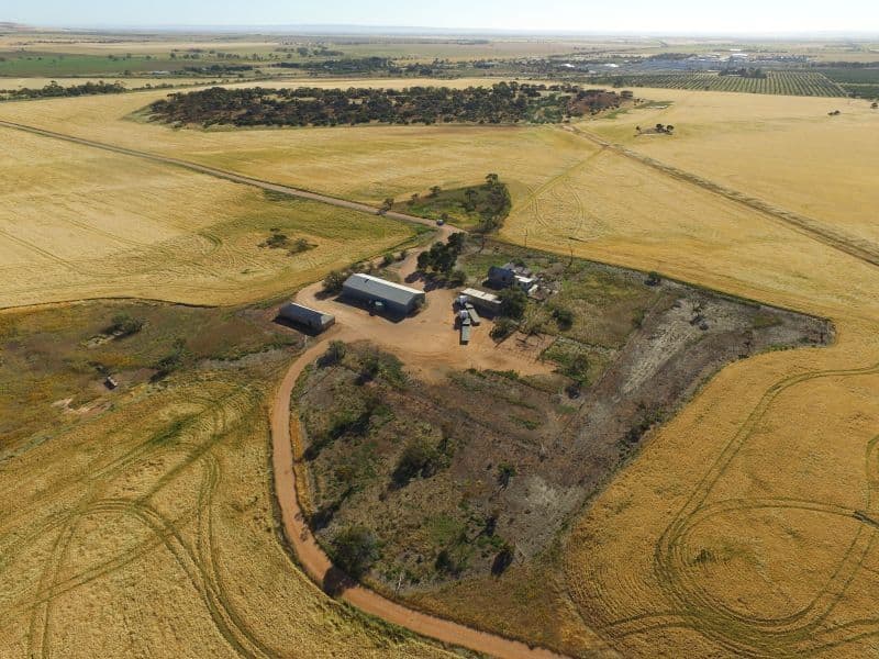 Various Balaklava Road, Bowmans, SA 5550, Bowmans - Thumbnail 3