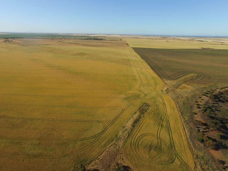Various Balaklava Road, Bowmans, SA 5550, Bowmans - Thumbnail 4