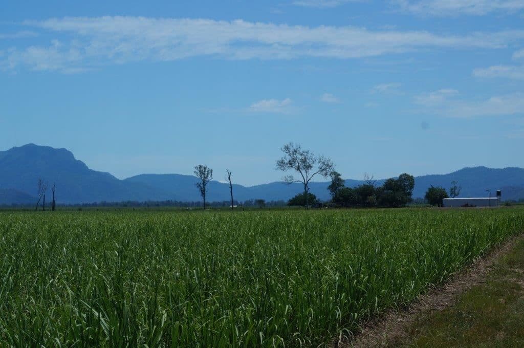 Ingham QLD, Ingham - Image 1
