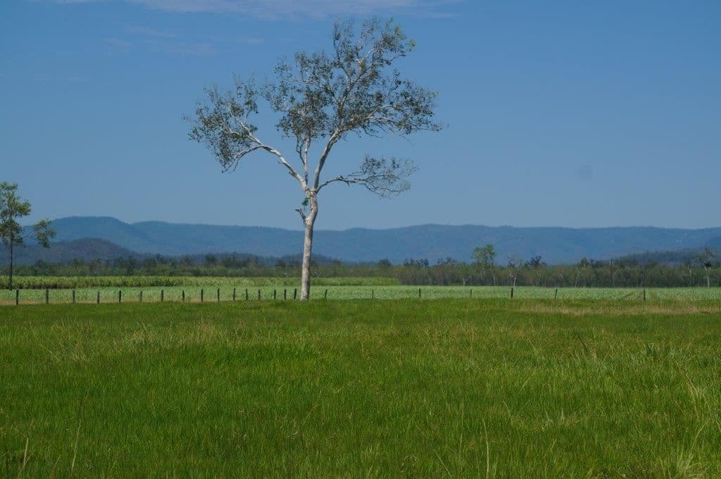 Ingham QLD, Ingham - Thumbnail 3