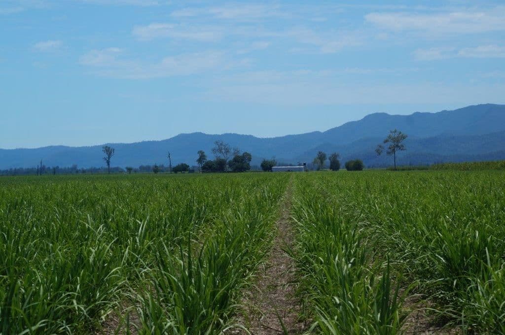 Ingham QLD, Ingham - Thumbnail 5