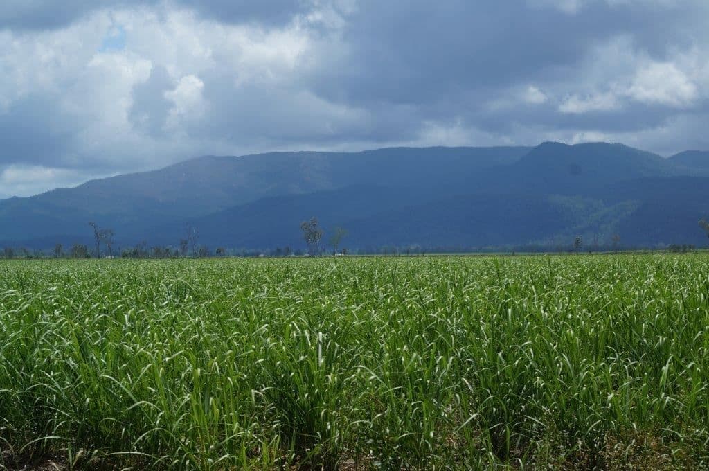 Ingham QLD, Ingham - Thumbnail 6