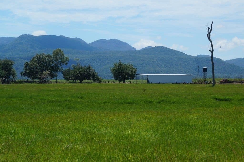 Ingham QLD, Ingham - Thumbnail 7