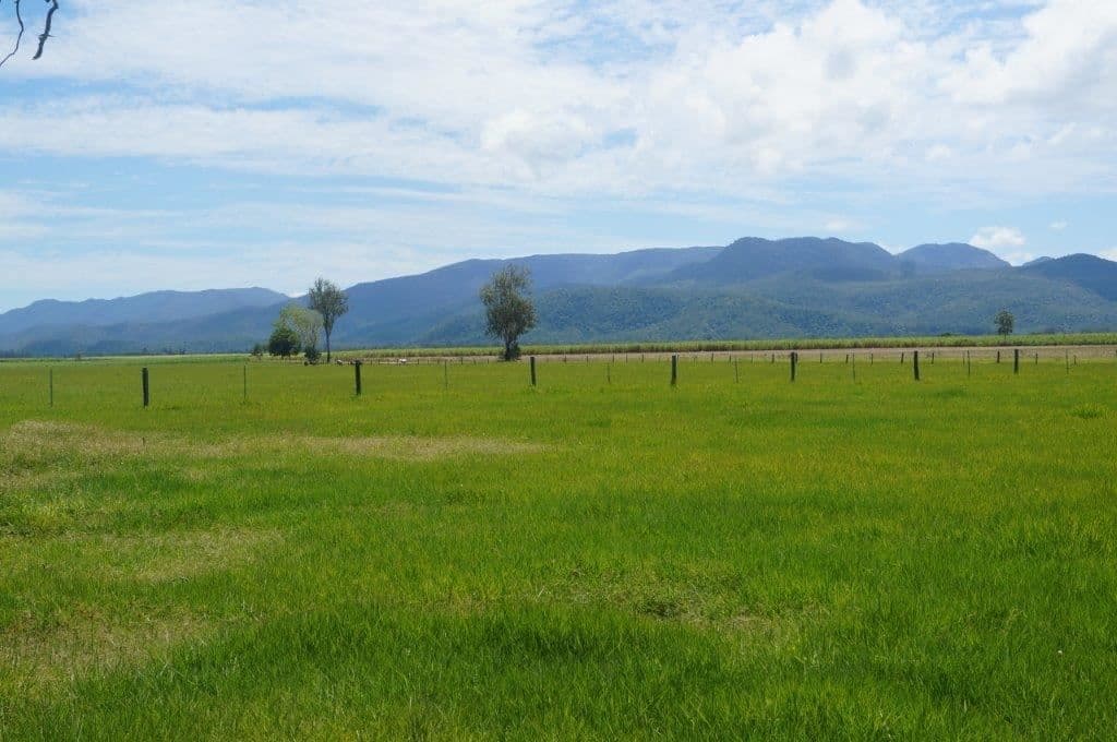 Ingham QLD, Ingham - Thumbnail 8