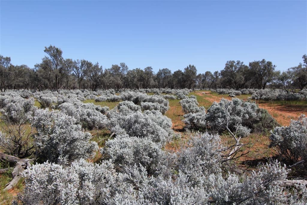 " Mulgawarra", Broken Hill, NSW 2880, Broken Hill - Image 1